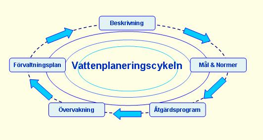 Figuren nedan visar hur arbetet kan bedrivas i enlighet med ramdirektivets vattenplaneringscykel, där Strategi för Stockholms vattenarbete 2005-2015 utgör utgångspunkten.