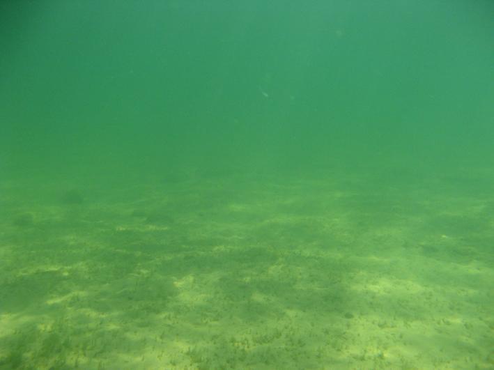 Kråksviken Kråksviken ligger i västra delen av Vättern i Karlsborgs kommun,västra Götalands län.