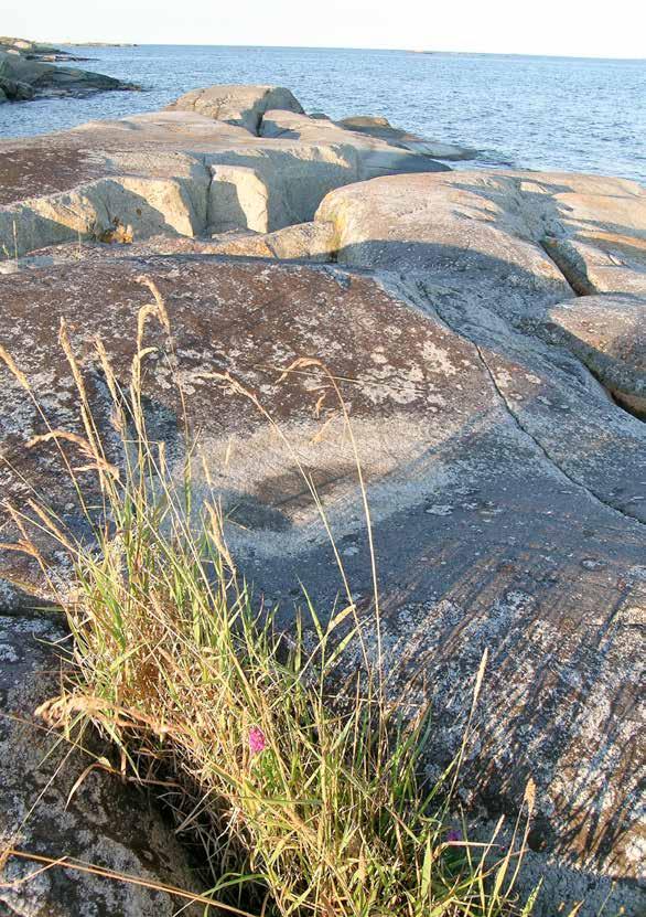 Foto: Naturvårdsverket 12