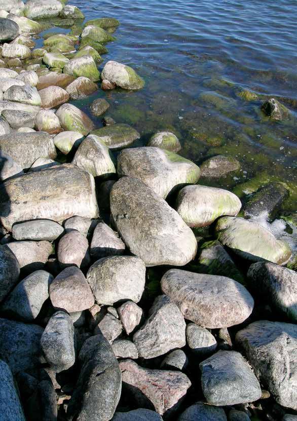 Foto: Naturvårdsverket 14