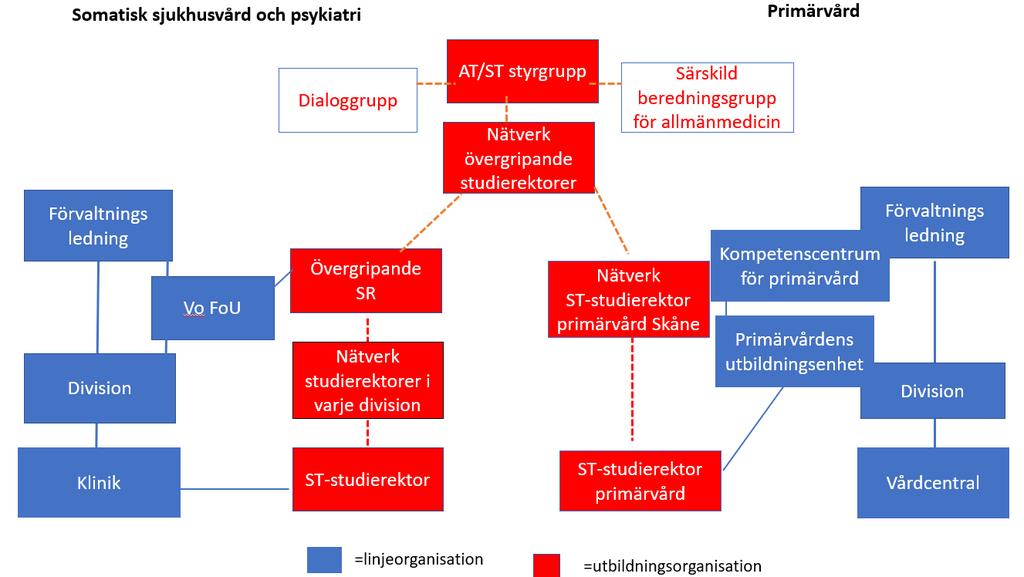 För primärvården finns en utbildningschef i Kompetenscentrum för primärvård i Skåne samt två deltidsarbetande ST-studierektorer som har ett antal vårdcentraler i sitt uppdrag.