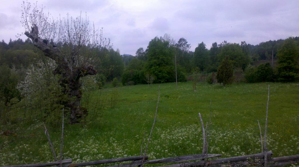Fig 12. Rekognosering i slutet av maj 2013. Lillängen. Skötselområde 25 och 27 Den äng som är belägen precis sydväst om gårdsbebyggelsen kallades Lillängen på 1700-talet.