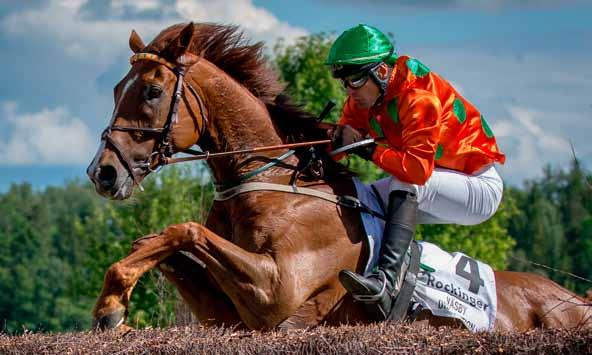 SEPTEMBERGALOPP PÅ STRÖMSHOLM LÖRDAG LÖRDAG 30 15 SEPTEMBER SEPTEMBER H.M. Konungens Pris och H.M. Drottningens Pris Gyllene Hästen och Sorrento Novissteeplechase Första start 14.00 Första start 14.