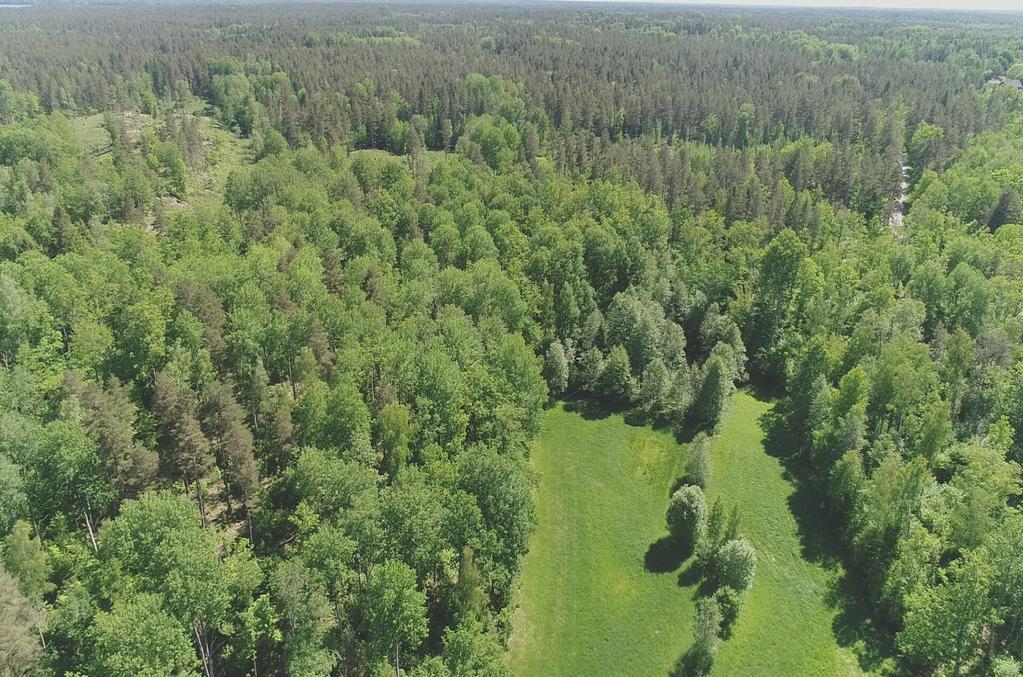Enligt skogsbruksplanen är tillväxten ca 225 m³sk. Bonitet 6,1 m³sk per ha. Fastigheten har en stor andel gammal skog.