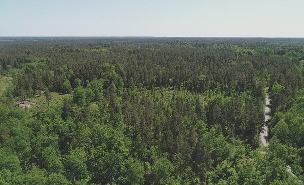 Oskarshamn Kristdala Klockargård 1:2 Skogsmark Skogsmarken om 76,1 ha