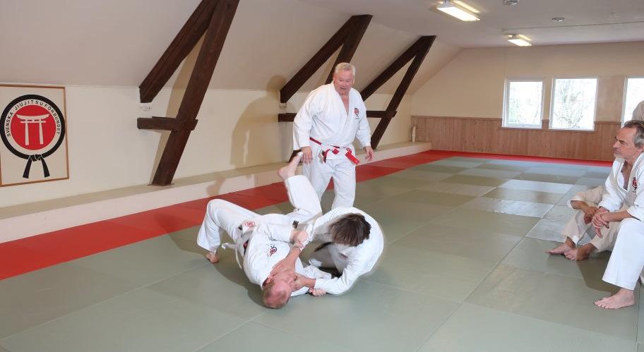 Vi fick även träna kombinationstekniker under Daninstruktören Johan Flakbergs ledning och Judo- och