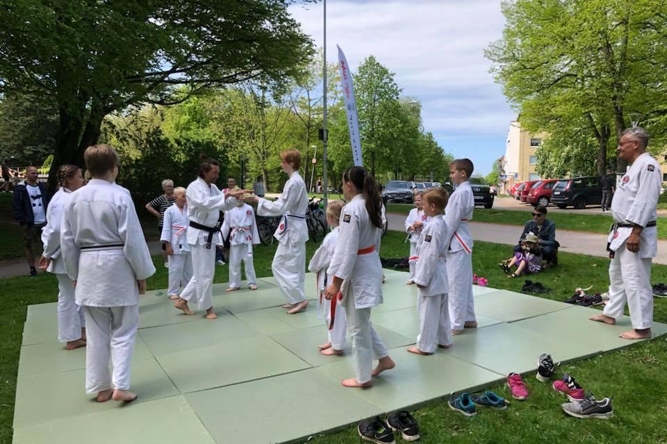 Lördagen den 12 maj var Jiujitsuklubben Seisin med i projektet gå för vatten i Halmstad Gå för vatten Initiativet gå för vatten kommer från Rotary som arrangerar eventet för fjärde året i rad.