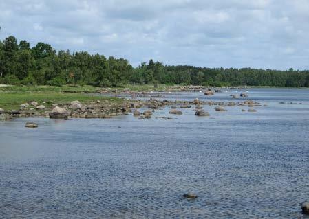 Stenkällare.