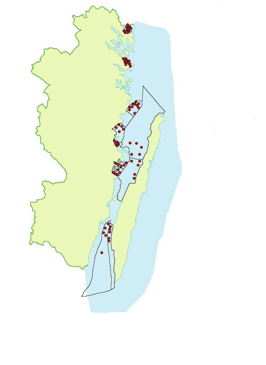 Bottenfauna Utförare: Linnéuniversitetet Författare: Stefan Tobiasson Bottenfauna innefattar djur som lever på eller i bottensediment i havet.
