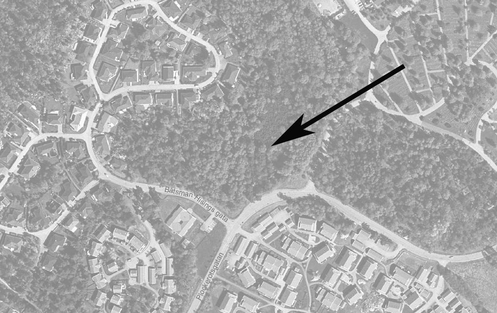DETALJPLAN FÖR BOSTÄDER VID BÅTSMAN HISINGS GATA, BACKA