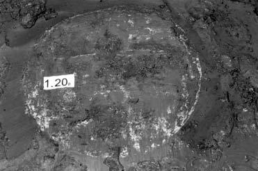 Bild saknas Pelare 1:20a Övervinge 3,5 bar 15 mm/varv BRN = 133 rot/m δ pel.