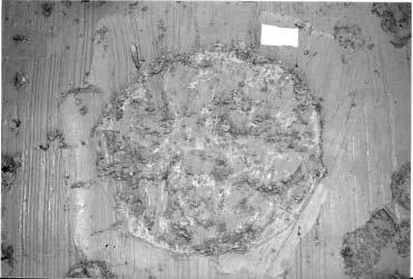 Oval pelare ø 5463cm, något grynig yta, marmor mönstrad yta.