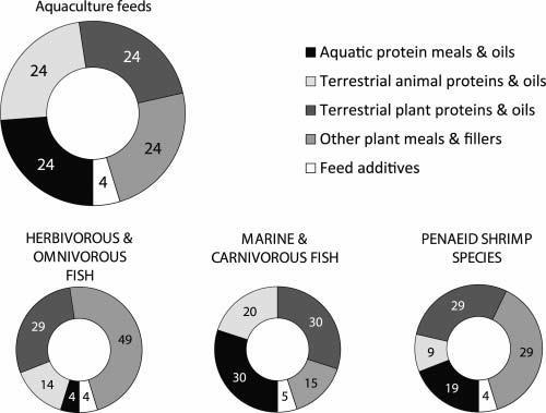 Övergödning från fiskfoder Stor skillnad i miljöpåverkan i absoluta tal mellan: liknande fiskodlingssystem (t ex lax) odlade arter produktionssystem Utsläppen från odlingen beror på: