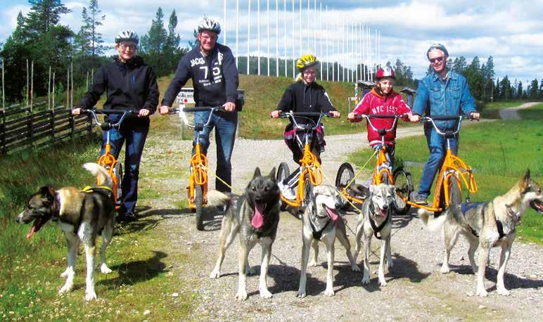 Välkomna till Idre Fjäll Cross Country och Skills Arena Tillsammans med en guide får ni utforska mountainbike på Idre Fjäll.