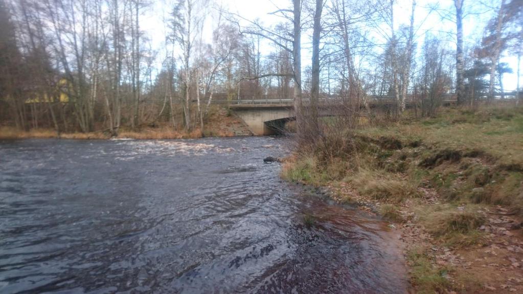 Recipientkontrollen i Lagan 2016 Medins Havs och Vattenkonsulter AB forts Nr Sjö Lokal Totalfosfor Totalfosfor EK-värde Status ref-värde 2013-2015 µg/l µg/l 26 Vidöstern Södra 10,6 16,0 0,663 God 30
