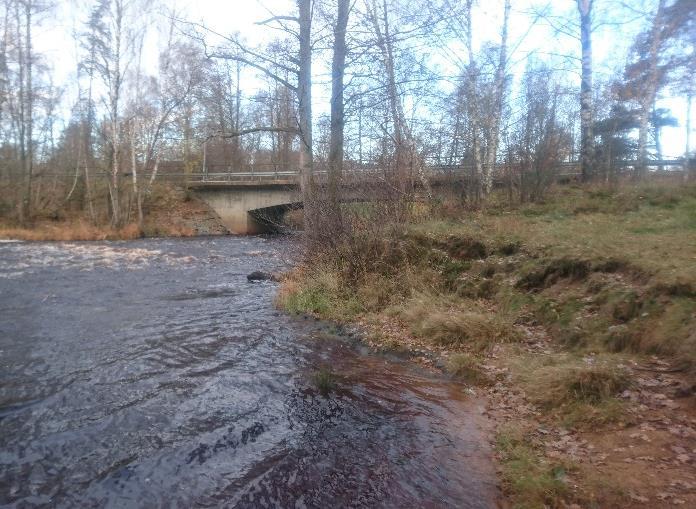 Expertbedömning Surhetsklass Nära neutralt Status med avseende på eutrofiering Status med avseende på hydromorfologisk påverkan Status med avseende på annan påverkan Övriga index och