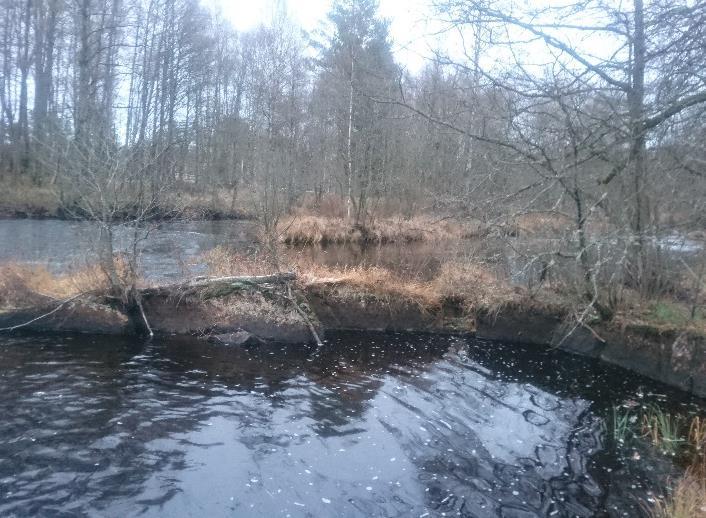 Expertbedömning Surhetsklass Nära neutralt Status med avseende på eutrofiering Status med avseende på hydromorfologisk påverkan Status med avseende på annan påverkan Övriga index och
