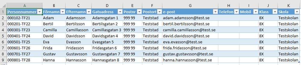 Lägga in elever Filformat för inläsning Rekommenderat filformat är Excel (.