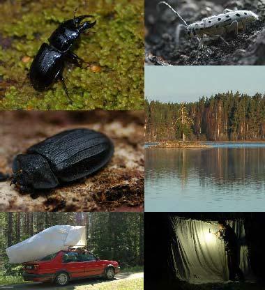 Rapport 2012:17 Inventering av