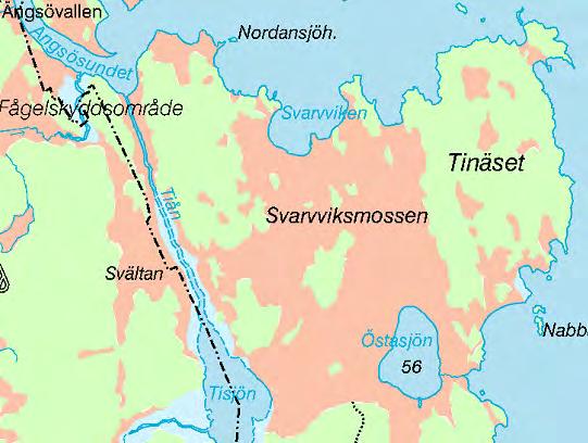 På öns sydvästra strand hittades gnagspår av (reliktbock, ) som bedömdes vara pågående och åtminstone tio björkar hade spår av Scardia boletella (jättesvampmal, ).