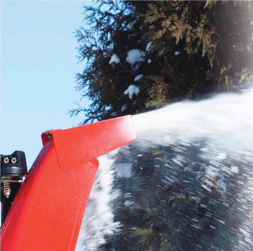 20 ARIENS