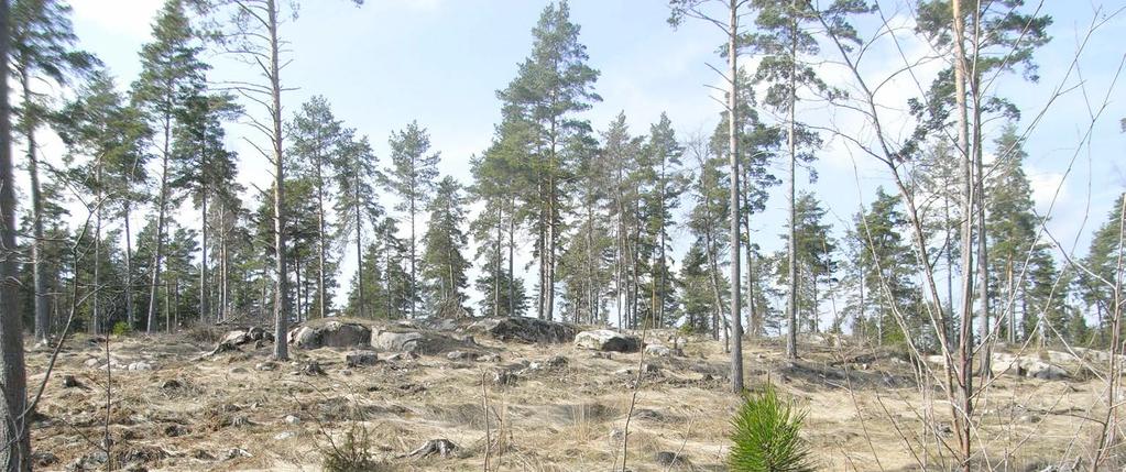AVGRÄNSNINGAR OCH LANDSKAPSBILD Planområdet gränsar i norr mot Södersjön. I söder utgör brynet mellan de skogsklädda höjderna och Kolgärdet gräns för planområdet.