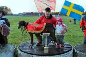Tali H0 Racing planerar Greyhound valpar mellan HADES PEARL & ROCKET BABY Valparna är leveransklara i början av Juli.