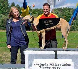 Hades Pearl har i dags läget banrekordet på Västerås banan över medeldistans. Hans mor Bondie Bade var en väldigt duktig tävlingshund som även har lämnat otroligt duktiga avkommer.