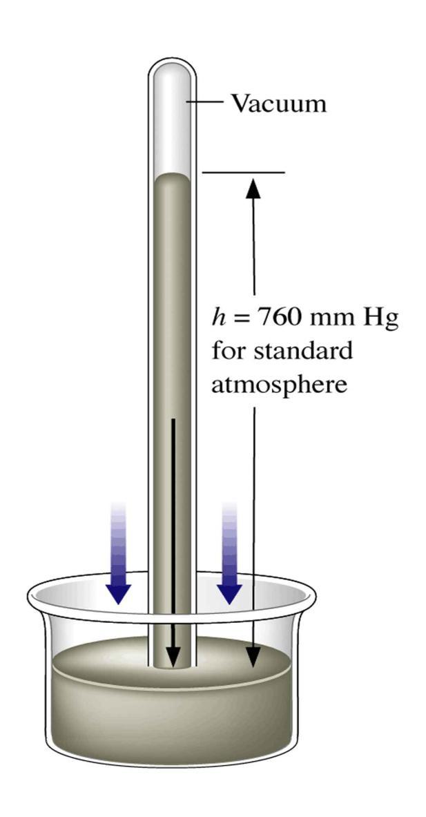 Avsnitt 5.