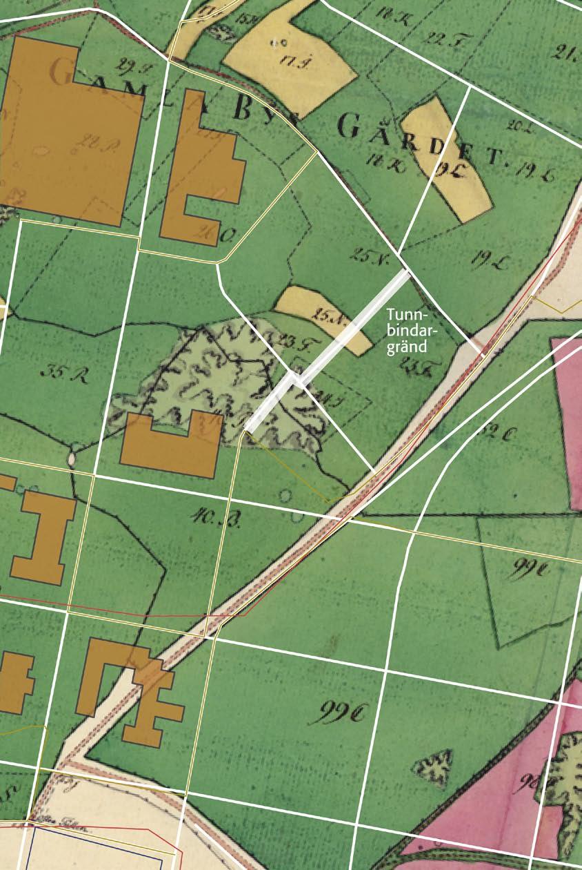 0 100 m Fig. 6. Tunnbindargränd sedd i relation till kartan från 1778. Dagens gatunät och bebyggelse har lagts över den gamla kartan.
