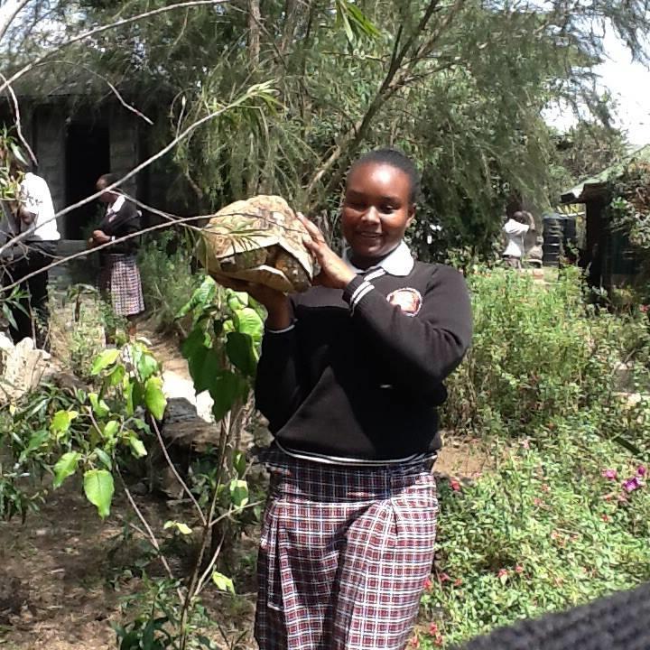 Bilden nedan visar de nyinflyttade. Studiebesök I september var elever på studiebesök på Elsamere i Naivasha.