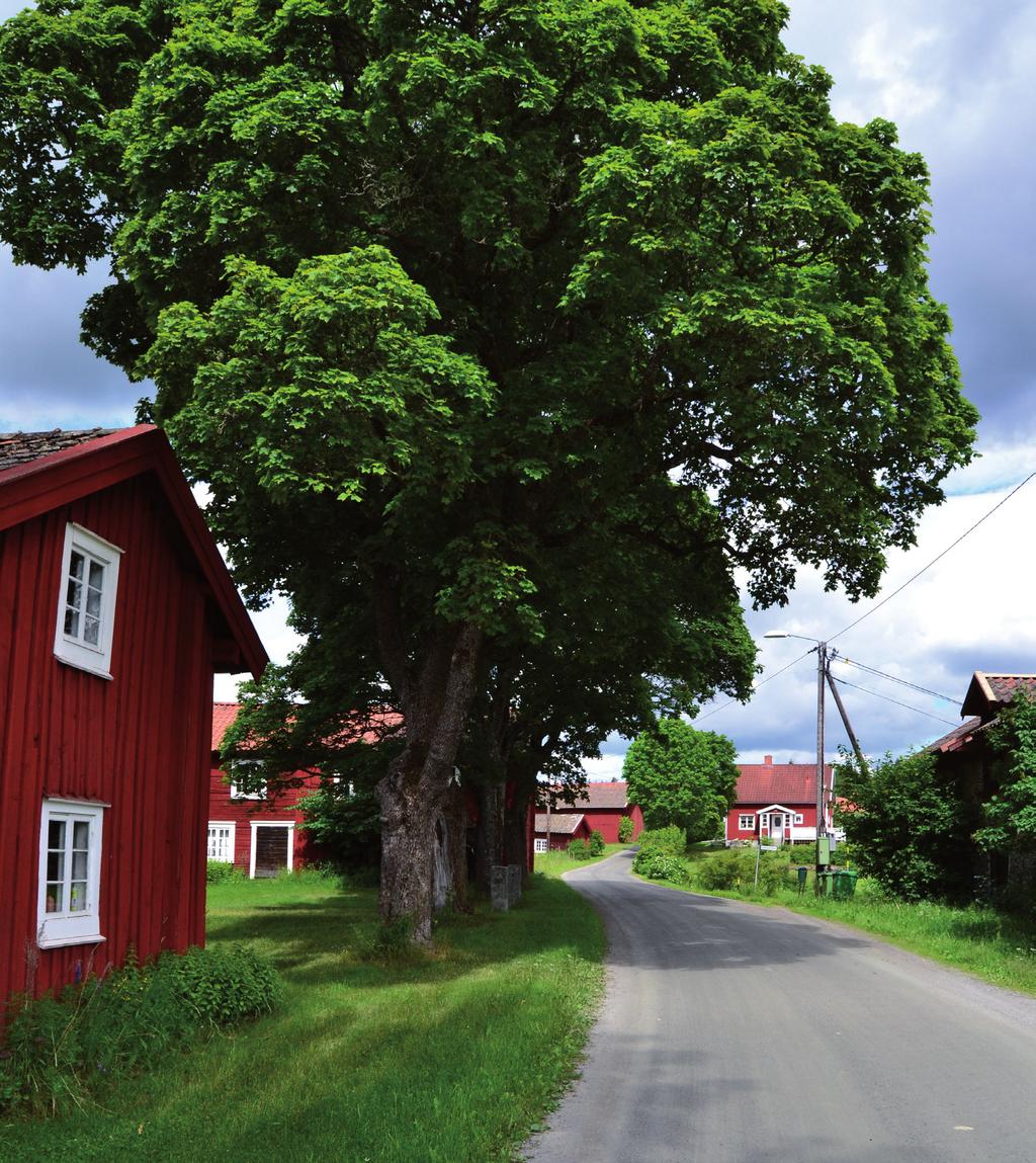 Viktig information från din kommun