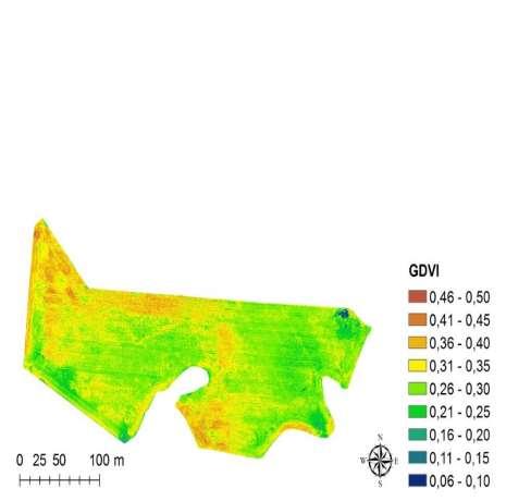 SLU: Decision support for forage production (suckling cows and horses), in terms of harvest time prognosis and quality estimation by means of remote sensing 6 grassland and 2 field trials in