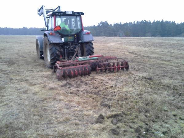 Grävning av sandblottor på Åby sandbackar, Öland Blottlagd, solbelyst sand och kalk som minskar försurningen i marken (ger ett högre ph-värde) är nyckelord för att växter, djur och svampar ska trivas