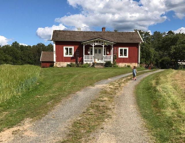 Utvecklingen i några av näringsgrenarna i jord- och skogsbruket Under återhämtade sig mjölkpriset från nedgången 2016 drivet av en stark uppgång i internationella smörpriser, en dämpad ökning för den