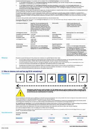 instrument innebär och vilka risker, kostnader samt vilka möjliga vinster/förluster som kan uppkomma.