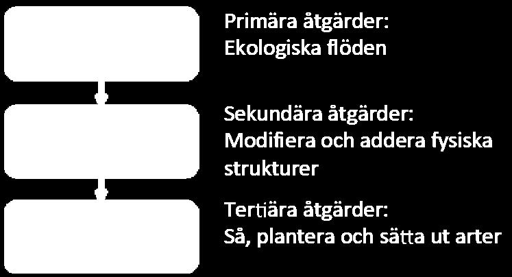 Det möjliggjorde jämförelser av olika åtgärders potential att förbättra tillgången på strand- och strömmande vattenhabitat, samt olika aspekter av konnektivitet. 2.