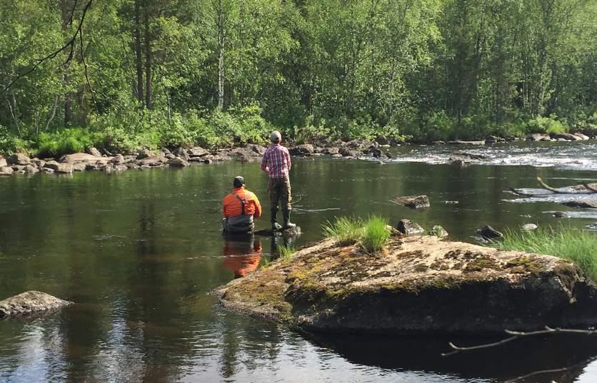 Fiske och turism internationell attraktionskraft i Swedish Lapland Swedish Lapland är ett paradis för fiskare.