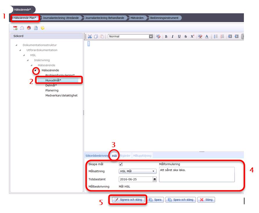 Öppna Hälsoärendet genom att klicka på Ny anteckning när du har Hälsoärendet markerat i HSL Grundvy. Då kommer du till denna vy. 1. Markera fisken Hälsoärende Plan. 2.