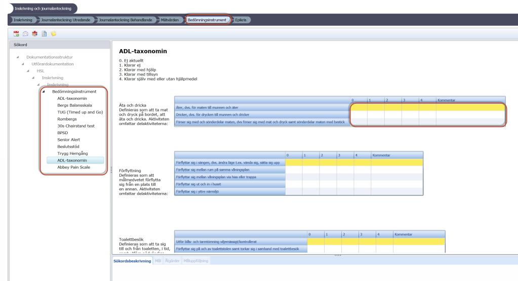 12 Bedömningsinstrument Då du skriver en ny journalanteckning så finns det en fisk som heter Bedömningsinstrument.