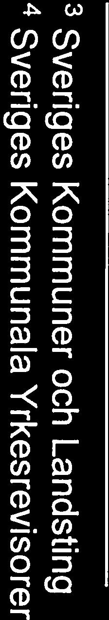 och Skyrev4. Granskningen av räkenskaperna är översiktlig och avser endast underlag för bedöm ning av fullmäktiges finansiella mål.