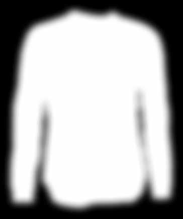 2 HL DNN