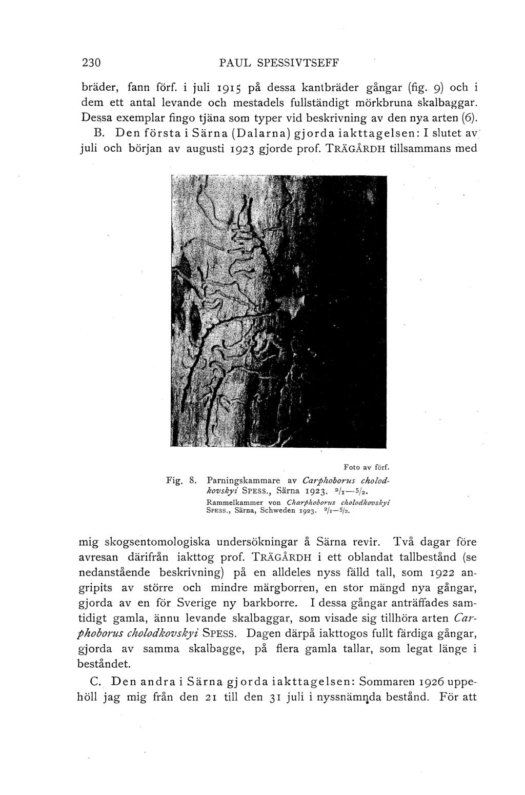 230 PAUL SPESSIVTSEFF bräder, fann förf. i juli 1915 på dessa kantbräder gångar (fig. 9) och i dem ett antal levande och mestadels fullständigt mörkbruna skalbaggar.