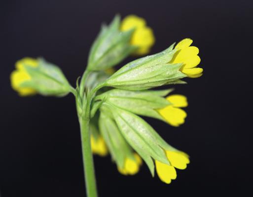 Allemansrätten är inte en lag, det är mer som en gemensam överenskommelse mellan markägaren och oss andra som vill besöka området.