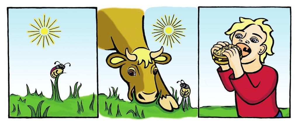 De olika delarna i naturens kretslopp Det gröna Naturens kretslopp börjar hos växterna, närmare bestämt med de gröna växterna som kan laga egen mat.