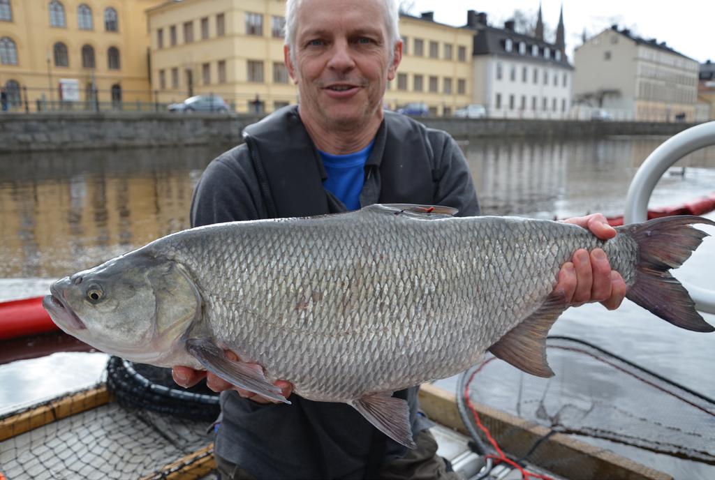 Syftet med detta projekt har varit att utvärdera hur väl fisken asp kan utnyttja nyligen frilagda lekområden genom märkning av vuxen fisk, kvantifiering av rom samt att kartlägga uppväxtområden för