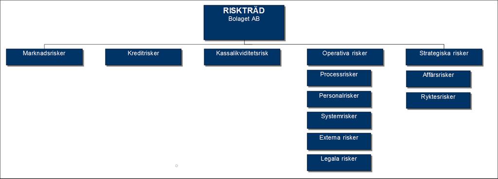 4. Identifiering, definition och hantering av risker Nedanstående bild visar de risker som Rhenman & Partners har identifierat i sin verksamhet.