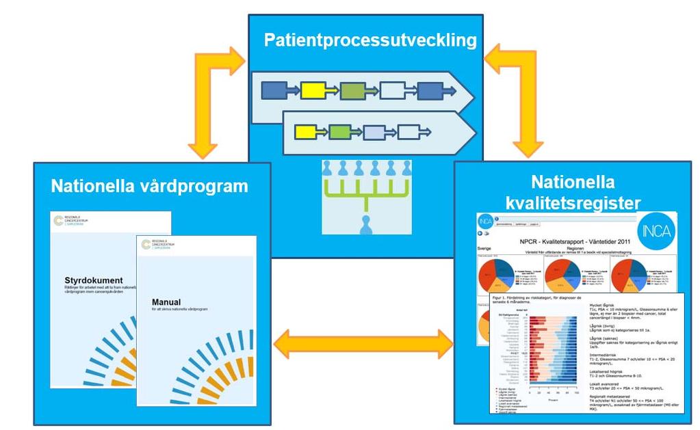 RCC arbetar med helheten Patientprocess: Alla aktiviteter och behov som en patient har vid kontakt med sjukvården Vårdprogram: Riktlinje för patientprocessen som syftar till att säkra att alla