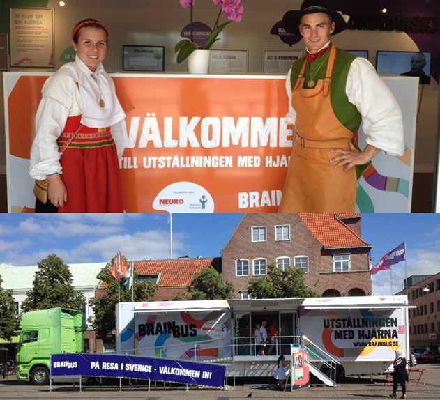 14 Projekt BrainBus Under 2015 genomfördes andra året av Neuroförbundets och Parkinsonförbundets treåriga projekt med en mobil utställning om hjärnan och hjärnans sjukdomar.