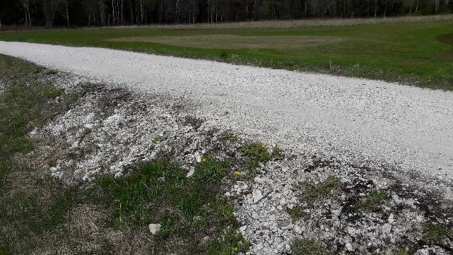 Hörlycke, område 1. Grovt krossad ferrokromslagg har använts på en grusväg nära Hörlycke golfbana (bild 1a och 1b).